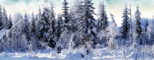 holiday-specials