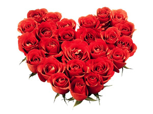 roses